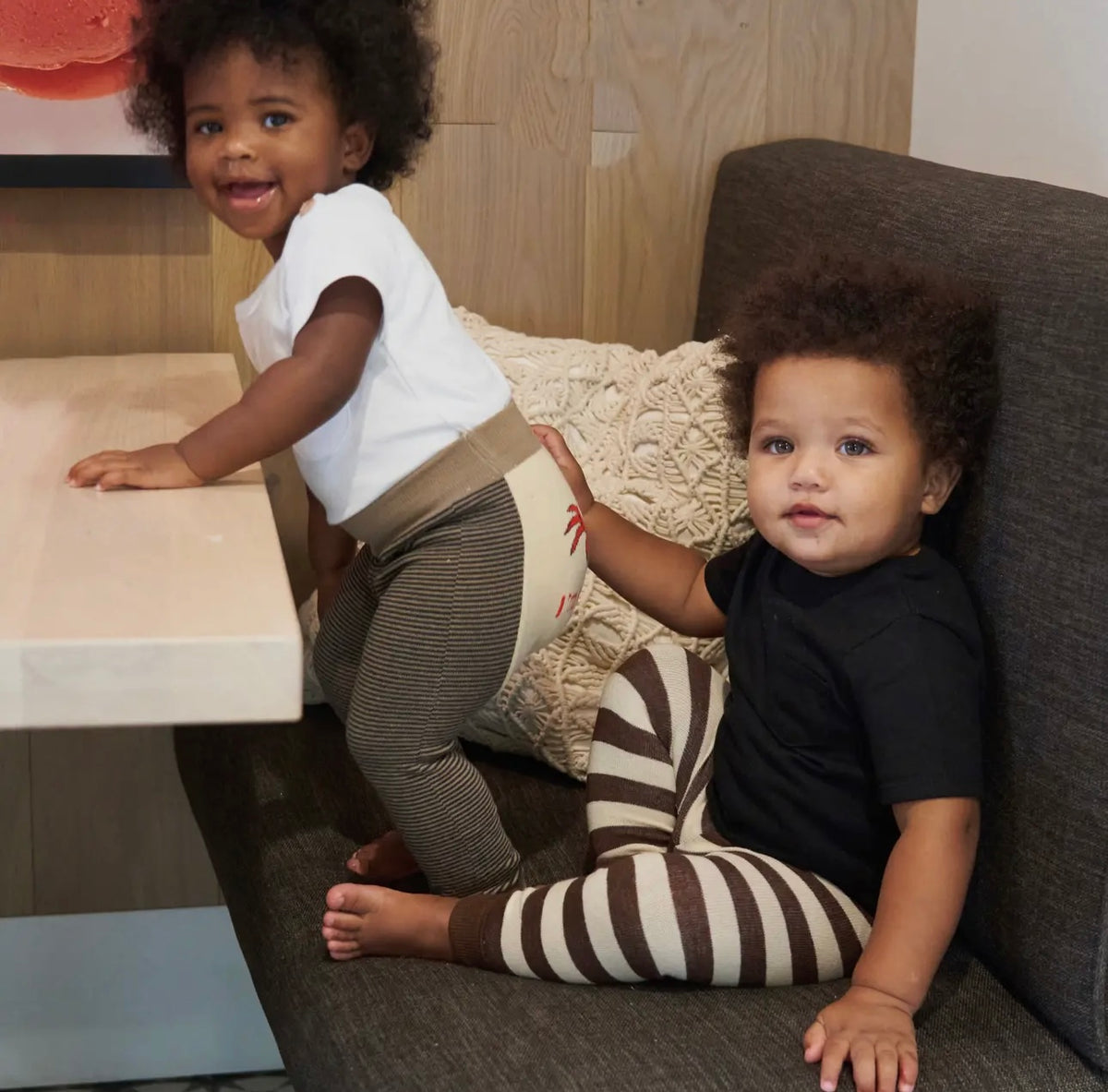 BOOGIE TIGHTS Unisex Baby ‘NO AUTOGRAPHS PLEASE’ By Piero Liventi (CHOOSE SIZE) - Novelty Socks And Slippers