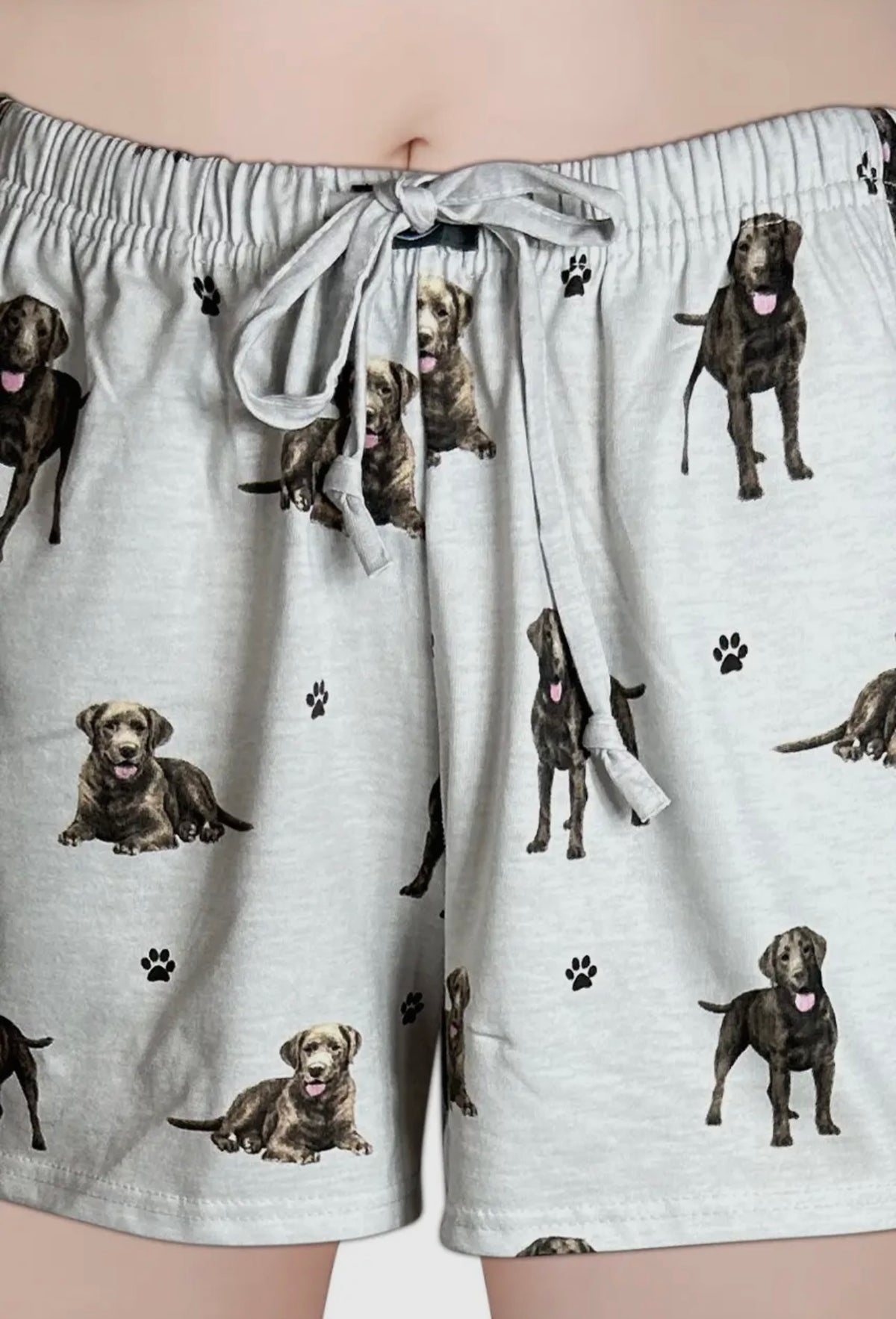 COMFIES LOUNGE PJ SHORTS Ladies CHOCOLATE LAB Dog By E&S PETS - Novelty Socks And Slippers