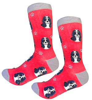 SOCK DADDY Brand CAVALIER KING CHARLER Tri-Color Unisex Socks E&S Pets - Novelty Socks for Less