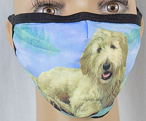 E&S Pets Brand GOLDENDOODLE DOG Adult Face Mask Cover - Novelty Socks for Less