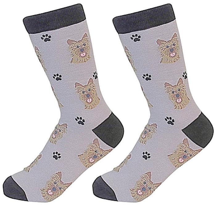 SOCK DADDY Unisex CAIRN TERRIER Dog Socks By E&S Pets
