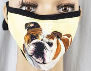 E&S Pets Brand BULLDOG Adult Face Mask Cover - Novelty Socks for Less