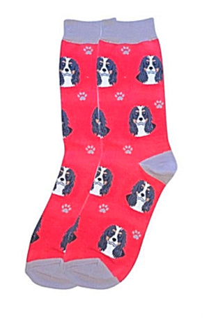 SOCK DADDY Brand CAVALIER KING CHARLER Tri-Color Unisex Socks E&S Pets - Novelty Socks for Less