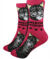 FOOZYS Brand Ladies AMERICAN SHORTHAIR CAT Socks - Novelty Socks And Slippers