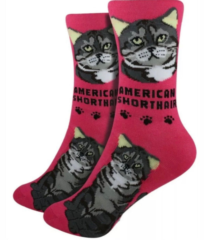 FOOZYS Brand Ladies AMERICAN SHORTHAIR CAT Socks