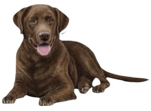 CHOCOLATE LABRADOR Dog Vinyl Sticker By E&S Pets