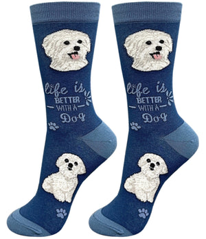 MALTESE Dog Unisex Socks By E&S Pets CHOOSE SOCK DADDY, LIFE IS BETTER - Novelty Socks for Less