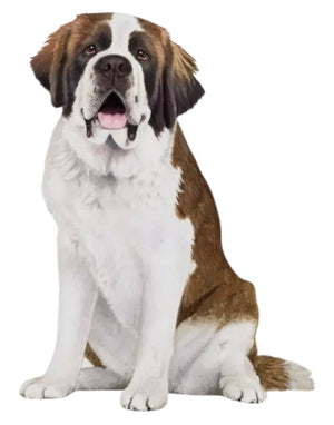 SAINT BERNARD Dog Vinyl Sticker By E&S Pets - Novelty Socks And Slippers