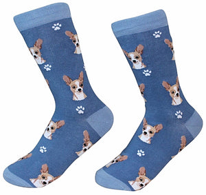 TAN CHIHUAHUA Dog Unisex Socks By E&S Pets CHOOSE SOCK DADDY, HAPPY TAILS, LIFE IS BETTER - Novelty Socks for Less