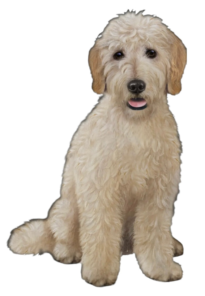 GOLDENDOODLE Dog Vinyl Sticker By E&S Pets (Choose Style)