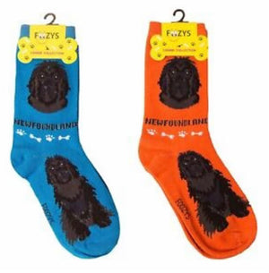 FOOZYS Brand Ladies NEWFOUNDLAND Dog 2 Pair Of Socks