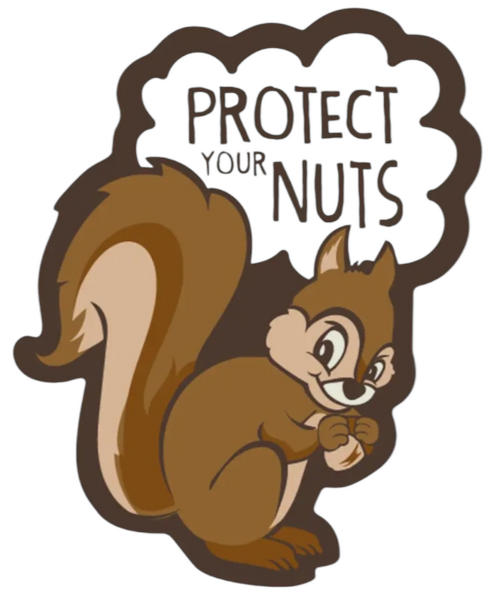 FUNATIC Brand SQUIRREL Vinyl Sticker PROTECT YOUR NUTS