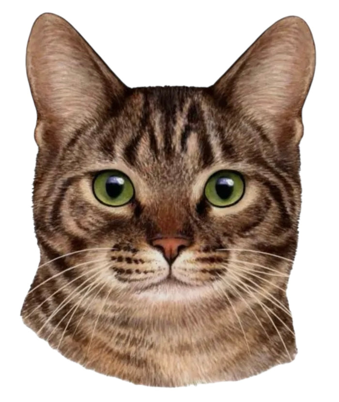 TABBY CAT Vinyl Sticker By E&S Pets
