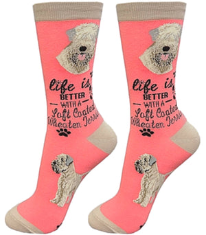 SOFT COATED WHEATEN TERRIER DOG Unisex Socks By E&S Pets CHOOSE SOCK DADDY, LIFE IS BETTER - Novelty Socks for Less