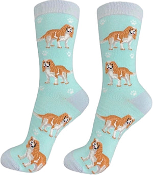 CAVALIER KING CHARLES Dog Unisex Socks By E&S Pets CHOOSE SOCK DADDY, HAPPY TAILS, LIFE IS BETTER - Novelty Socks for Less