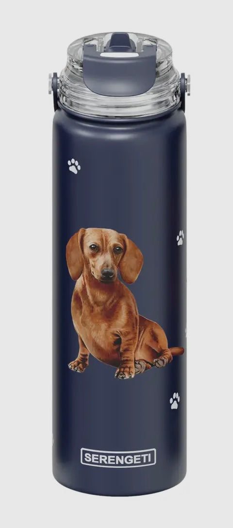 RED DACHSHUND Dog Stainless Steel 24 Oz. Water Bottle SERENGETI Brand By E&S Pets