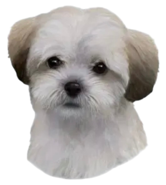 SHIHPOO Dog Vinyl Sticker By E&S Pets