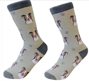 PAPILLON Dog Unisex Socks By E&S Pets CHOOSE SOCK DADDY, LIFE IS BETTER - Novelty Socks for Less