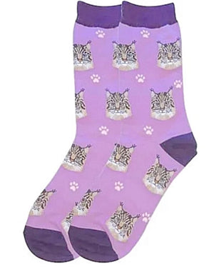 MAINE COON Cat Unisex Socks By E&S Pets CHOOSE SOCK DADDY, LIFE IS BETTER - Novelty Socks for Less