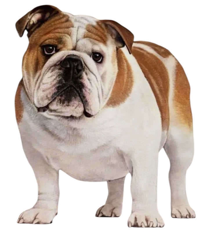 BULLDOG Vinyl Sticker By E&S Pets