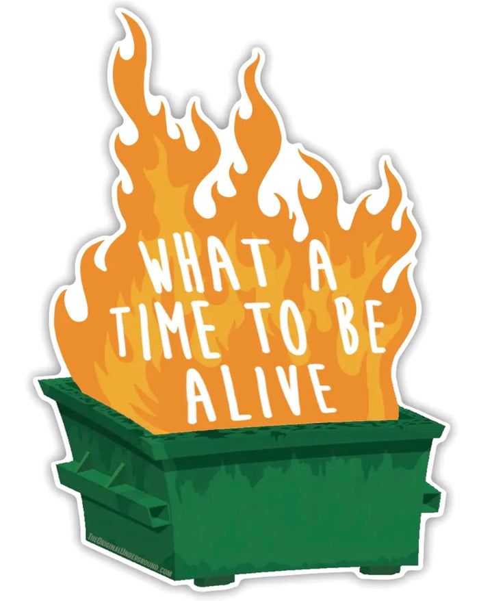 DUMPSTER FIRE Vinyl Sticker ‘WHAT A TIME TO BE ALIVE’