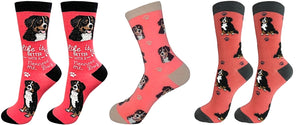 BERNESE MOUNTAIN Dog Unisex Socks By E&S Pets CHOOSE SOCK DADDY, HAPPY TAILS OR LIFE IS BETTER - Novelty Socks for Less