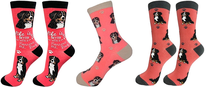 BERNESE MOUNTAIN Dog Unisex Socks By E&S Pets CHOOSE SOCK DADDY, HAPPY TAILS OR LIFE IS BETTER