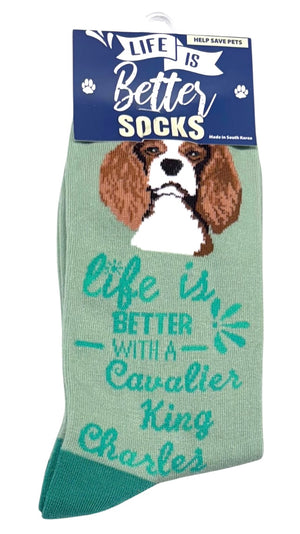 CAVALIER KING CHARLES Dog Unisex Socks By E&S Pets CHOOSE SOCK DADDY, HAPPY TAILS, LIFE IS BETTER