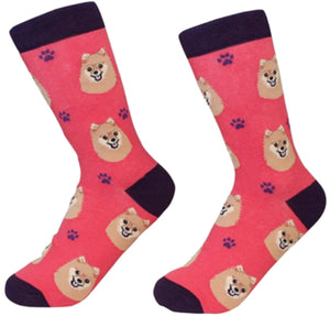 POMERANIAN Dog Unisex Socks By E&S Pets CHOOSE SOCK DADDY, HAPPY TAILS, LIFE IS BETTER - Novelty Socks for Less