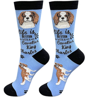 CAVALIER KING CHARLES Dog Unisex Socks By E&S Pets CHOOSE SOCK DADDY, HAPPY TAILS, LIFE IS BETTER - Novelty Socks for Less