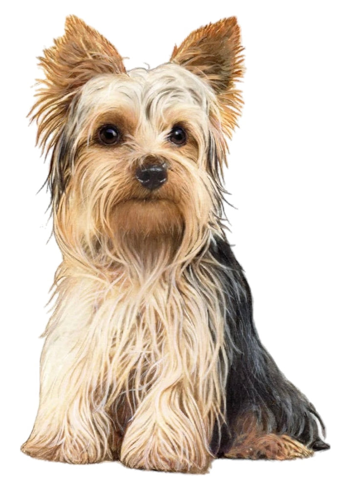 YORKIE Dog Vinyl Sticker By E&S Pets