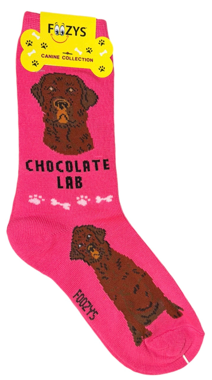 FOOZYS Brand Ladies CHOCOLATE LABRADOR RETRIEVER Dog Socks