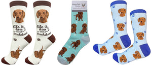 RED DACHSHUND Dog Unisex Socks By E&S Pets - Novelty Socks for Less