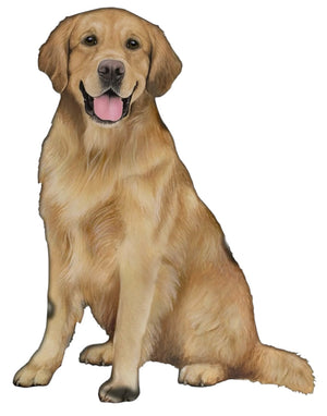 GOLDEN RETRIEVER Dog Vinyl Sticker By E&S Pets - Novelty Socks And Slippers