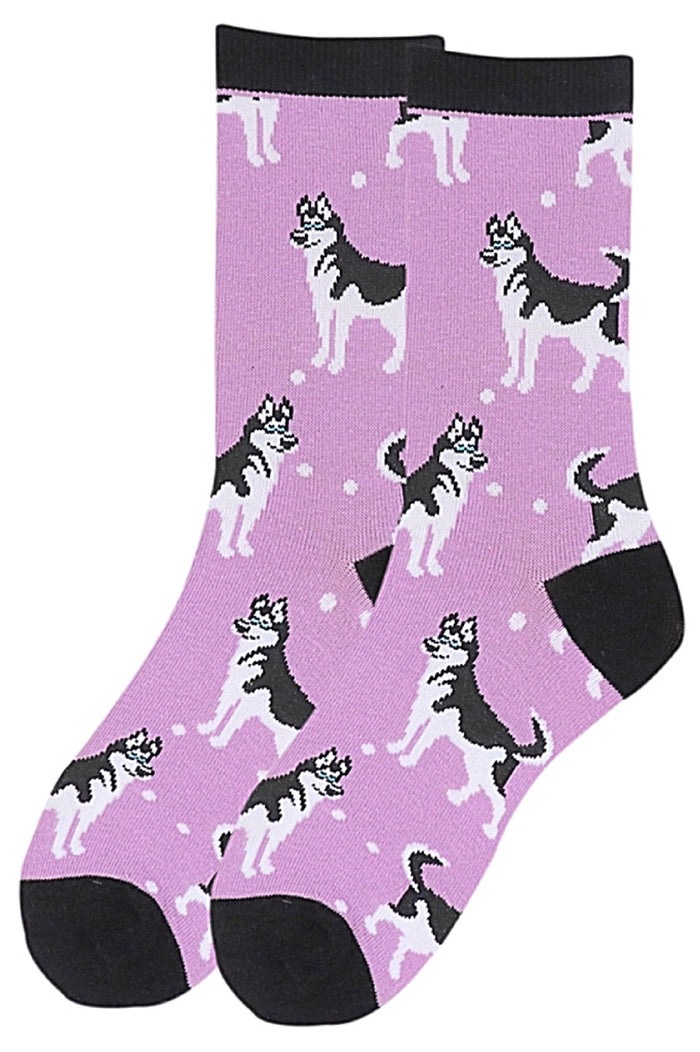 PARQUET BRAND Ladies SIBERIAN HUSKY Dog Socks