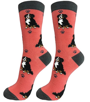 BERNESE MOUNTAIN Dog Unisex Socks By E&S Pets CHOOSE SOCK DADDY, HAPPY TAILS OR LIFE IS BETTER - Novelty Socks for Less