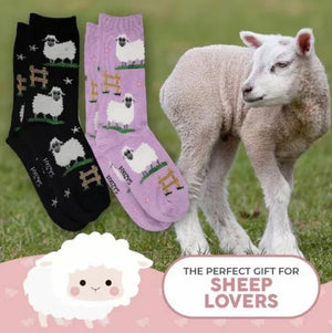 FOOZYS Brand Ladies SHEEP 2 Pair Of Socks - Novelty Socks And Slippers