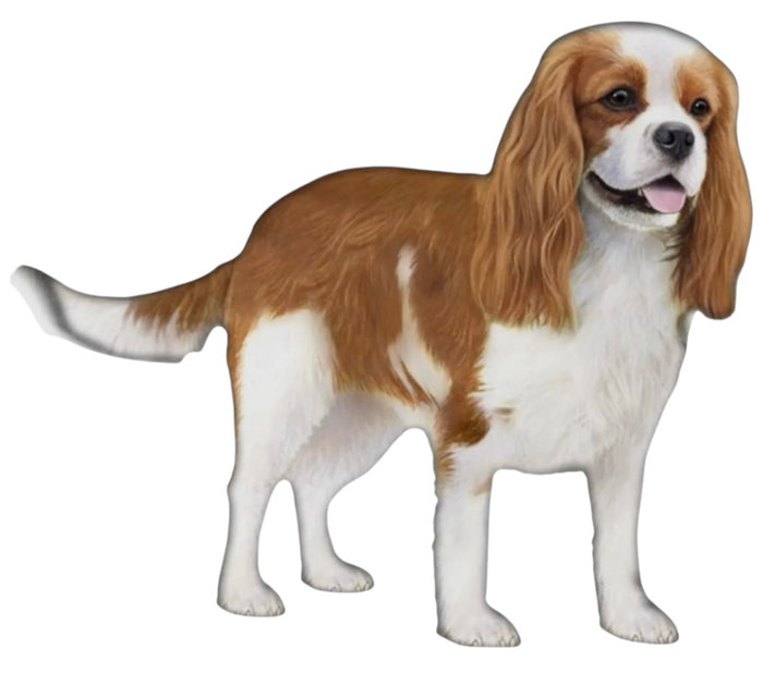 CAVALIER KING CHARLES Dog Vinyl Sticker By E&S Pets