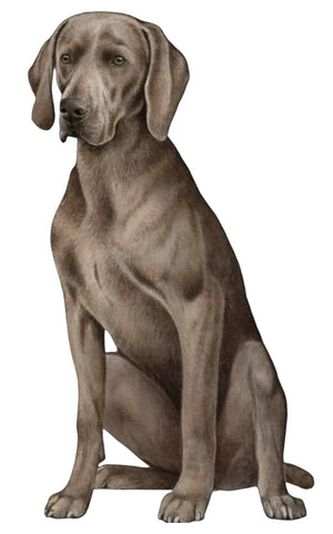 WEIMERANER Dog Vinyl Sticker By E&S Pets - Novelty Socks And Slippers