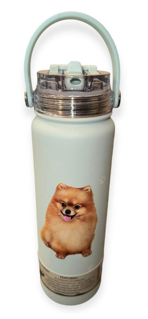 POMERANIAN Dog Stainless Steel 24 oz. Water Bottle SERENGETI Brand By E&S Pets