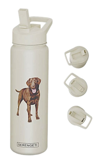 CHOCOLATE LABRADOR Dog Stainless Steel 24 Oz. Water Bottle SERENGETI Brand By E&S Pets - Novelty Socks for Less