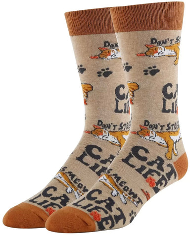 Cats