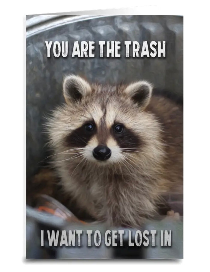 Love Greeting Card With Raccoon YOU ARE THE TRASH I WANT TO GET LOST IN