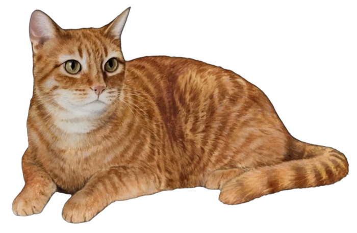 ORANGE TABBY Cat Vinyl Sticker By E&S Pets