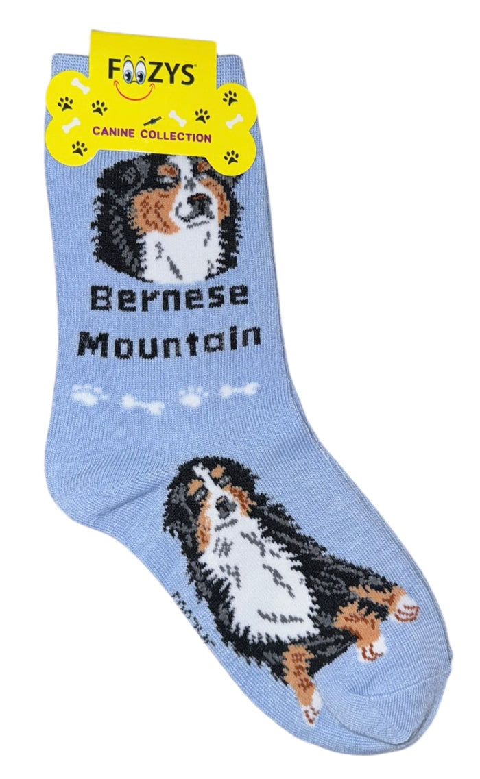 FOOZYS Brand Ladies BERNESE MOUNTAIN DOG Socks