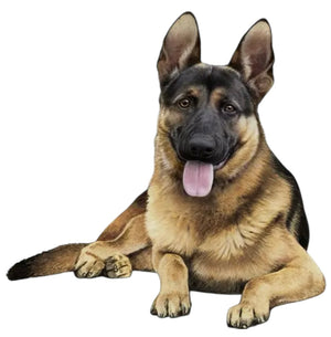 GERMAN SHEPHERD Dog Vinyl Sticker By E&S Pets - Novelty Socks And Slippers
