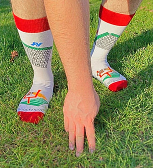 FOOTBALL SUPERBOWL POOL Men’s Socks SOCK PANDA Brand - Novelty Socks for Less