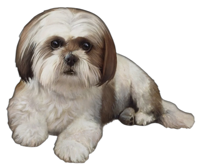 SHIH TZU Dog Vinyl Sticker By E&S Pets (Choose Color) Beige or Black & White Shih Tzu