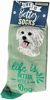 MALTESE Dog Unisex Socks By E&S Pets CHOOSE SOCK DADDY, LIFE IS BETTER - Novelty Socks And Slippers
