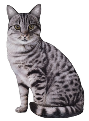 SILVER TABBY Cat Vinyl Sticker By E&S Pets - Novelty Socks And Slippers
